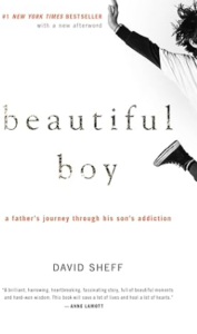 Beautiful Boy Addiction Recovery Memoir